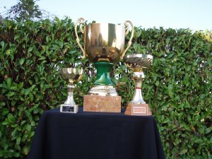 coppe e trofei vari