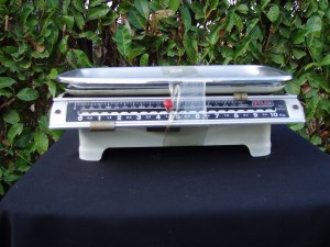 bilancia modello bilik