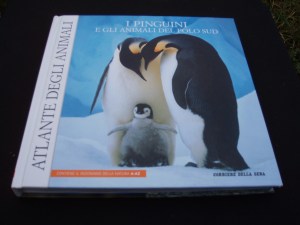 i pinguini e gli animali del polo sud