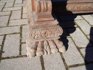 gamba a zampa di leone