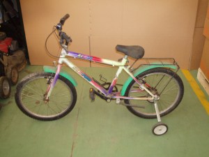 saltafoss scout bambino