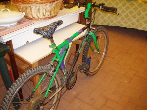 mountain bike verde della bianchi