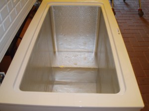 vista interno congelatore daya