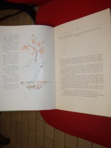 pagina interna volume pinocchio 1946 cenobio